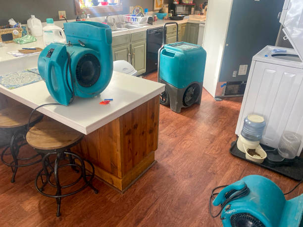 Best Flood damage cleanup  in Oregon, WI