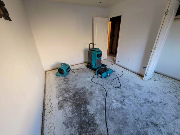 Best Water damage contractors near me  in Oregon, WI