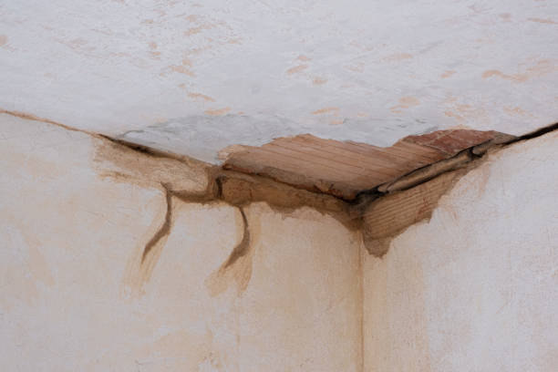 Best Flooded house restoration  in Oregon, WI