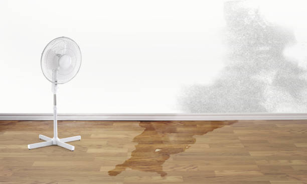 Best Water damage restoration near me  in Oregon, WI