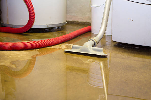 Best Local water damage restoration  in Oregon, WI