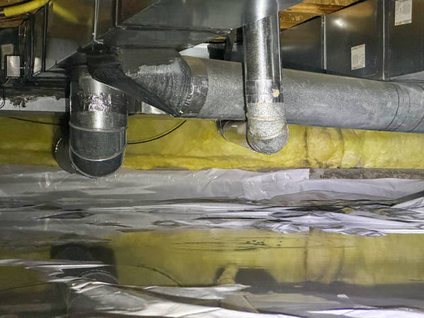 Best Basement water damage restoration  in Oregon, WI