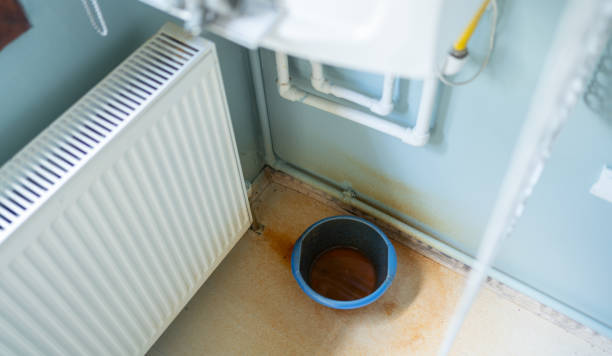 Best Mold removal after water damage  in Oregon, WI